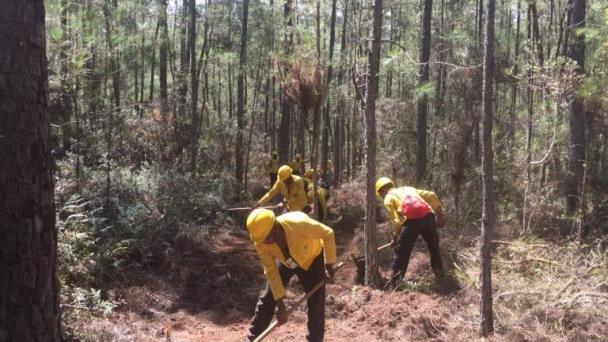 Medio Ambiente identifica algunos responsables de los incendios forestales de República Dominicana