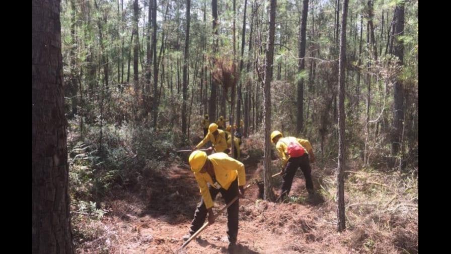 Medio Ambiente identifica algunos responsables de los incendios forestales de República Dominicana