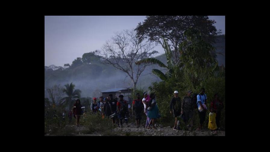 En busca del sueño americano: Más de 80 dominicanos cruzaron la selva del Darién en marzo del 2023