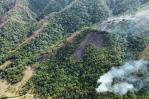 Medio Ambiente dice tiene controlados la mayoría de incendios forestales afectan el país