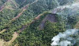Medio Ambiente dice tiene controlados la mayoría de incendios forestales afectan el país