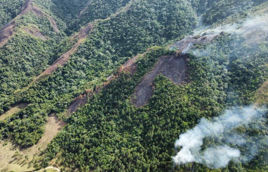 Medio Ambiente dice tiene controlados la mayoría de incendios forestales afectan el país