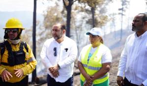 Rogelio Genao califica de terrorismo ambiental incendio forestales y de vertederos