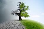 Cuáles son las evidencias del cambio climático Cuáles son las evidencias del cambio climático
