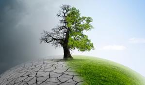 Cuáles son las evidencias del cambio climático