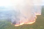 Acción Verde: impacto de incendios forestales en bosques de RD ha sido devastador Acción Verde: impacto de incendios forestales en bosques de RD ha sido devastador
