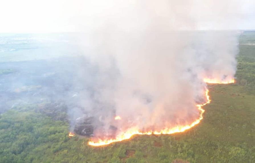 Incendios forestales han consumido un área 20 % más grande que el Distrito Nacional