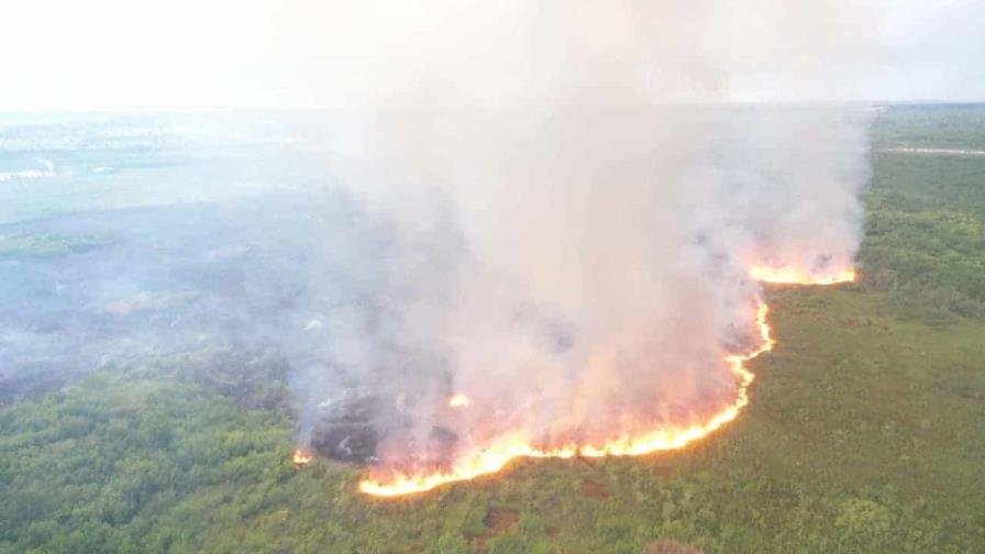 Acción Verde: impacto de incendios forestales en bosques de RD ha sido devastador