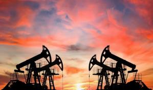 La OPEP vuelve a ajustar a la baja su pronóstico sobre la demanda petrolera mundial