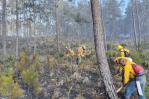 Autoridades aseguran se reducen a ocho el número de incendios forestales activos en el país