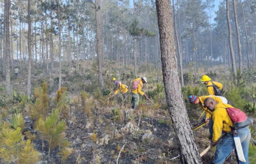 Autoridades aseguran se reducen a ocho el número de incendios forestales activos en el país
