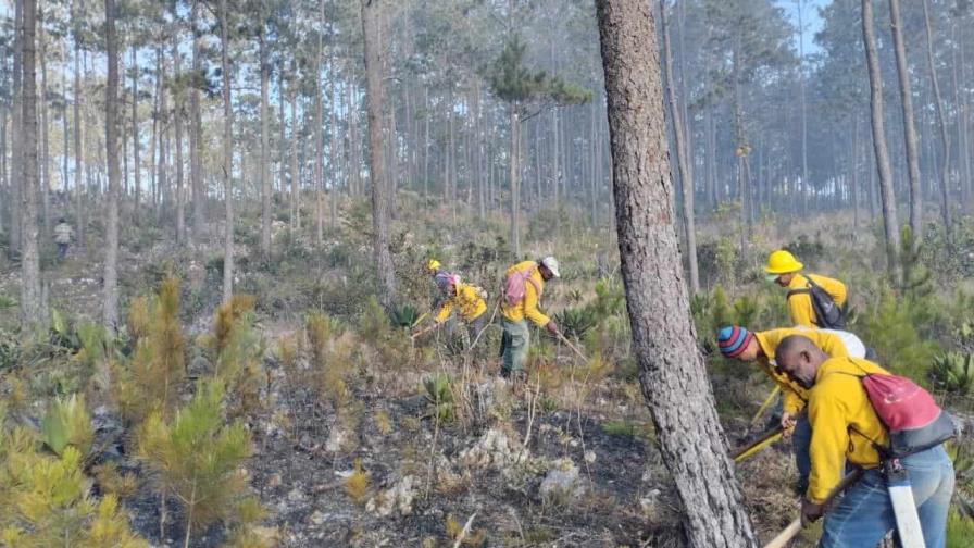 Autoridades aseguran se reducen a ocho el número de incendios forestales activos en el país