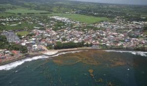 El megacinturón de sargazo en el Atlántico supera las 13 millones de toneladas en peso