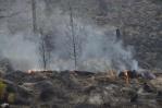 Disminuye a seis el número de incendios forestales activos a nivel nacional