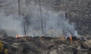 Disminuye a seis el número de incendios forestales activos a nivel nacional