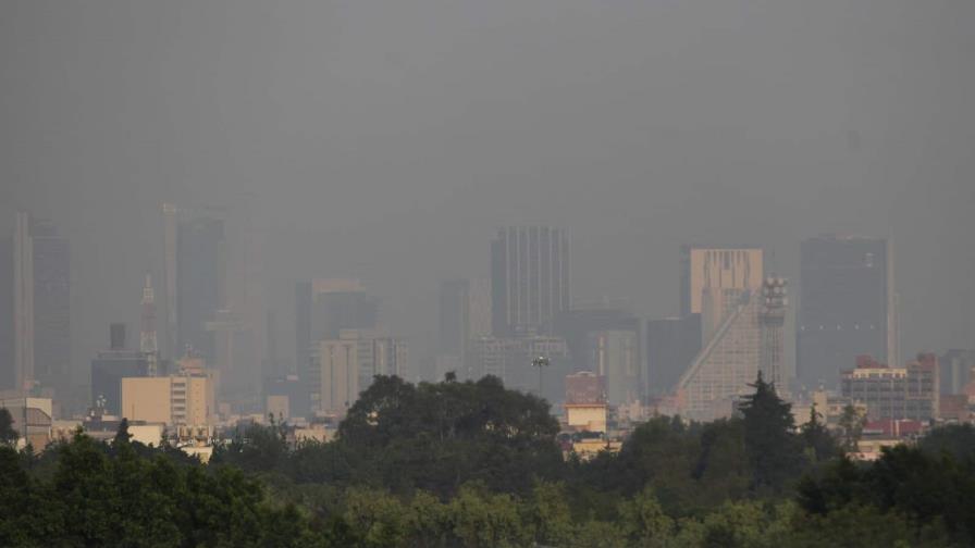 La contaminación puede provocar mutaciones genéticas en bebés, según estudio