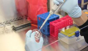 Desarrollan un método para diagnosticar cánceres en menos de tres horas