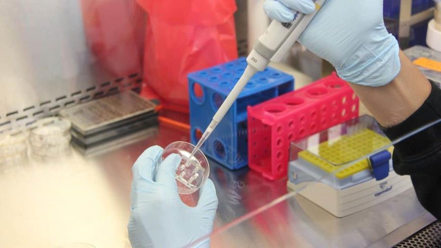 Desarrollan un método para diagnosticar cánceres en menos de tres horas Desarrollan un método para diagnosticar cánceres en menos de tres horas