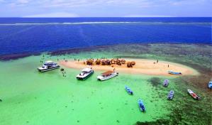 Cayo Arena, un paraíso de aguas cristalinas y peces coloridos