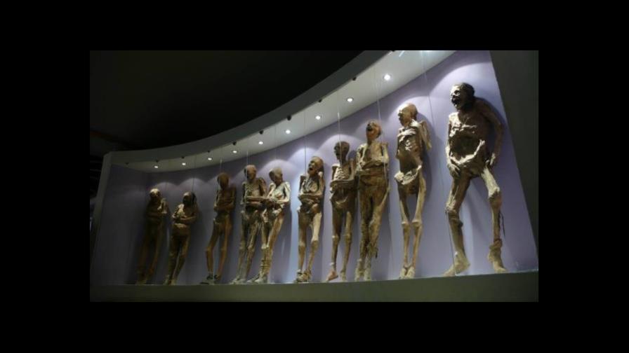 Suspenden exposición de momias mexicanas porque pueden presentar riesgos para la salud Suspenden exposición de momias mexicanas porque pueden presentar riesgos para la salud