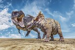 Cu&aacute;l es el registro de vida m&aacute;s antiguo en la Tierra