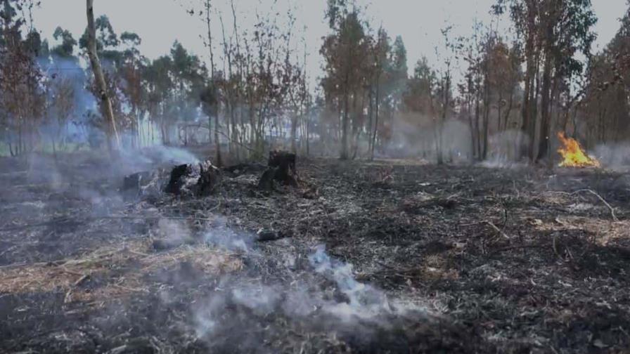 Dan por extinguido incendio forestal en el Parque Nacional José del Carmen Ramírez