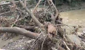 Crecida de río inunda decenas de viviendas en Jacagua de Santiago