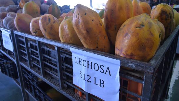 Estiman inflación en RD terminaría el año en torno al 4.50 %, cercano a la meta