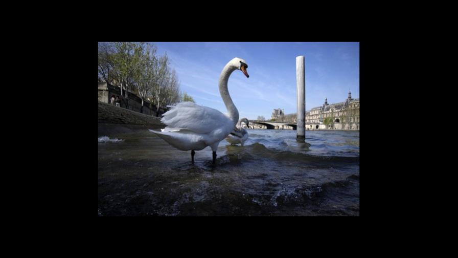 ¿Un baño? Un reinicio olímpico para el tóxico Río Sena