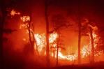 Gran incendio consume 15 kilómetros de bosque de pinos en Nueva Jersey Gran incendio consume 15 kilómetros de bosque de pinos en Nueva Jersey