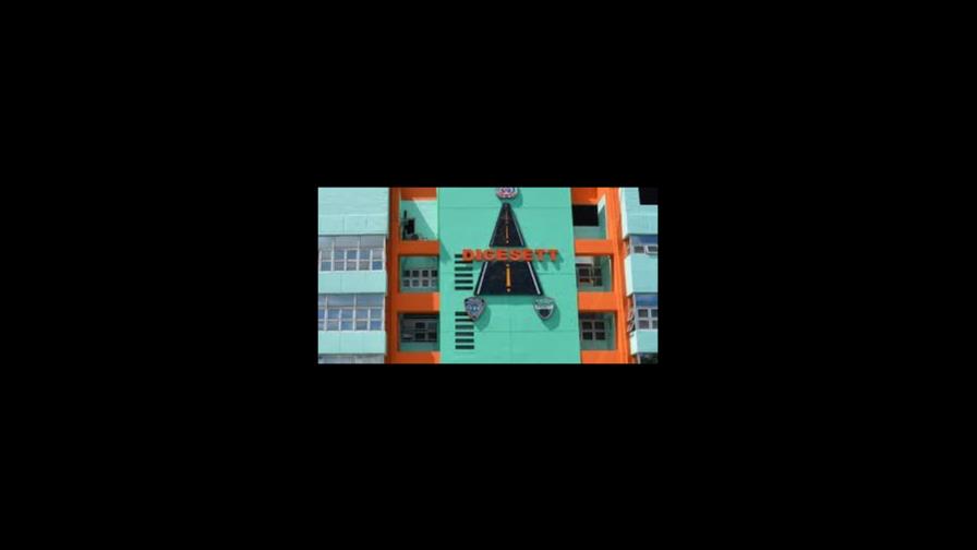 Digesett identifica y somete causante de accidente en La Vega en que murió mujer Digesett identifica y somete causante de accidente en La Vega en que murió mujer