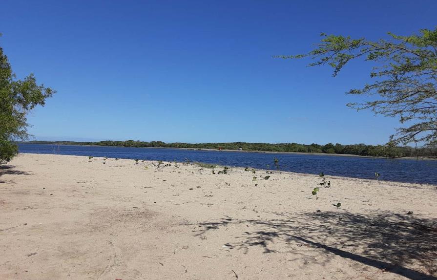 Academia de Ciencias alerta sobre “justificación” de daños a humedales y playa en Manzanillo