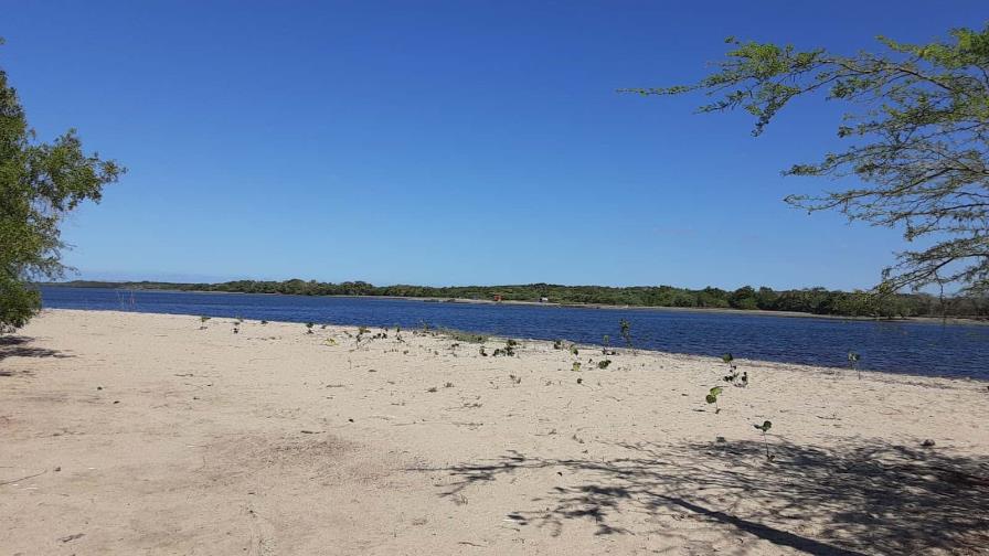 Academia de Ciencias alerta sobre “justificación” de daños a humedales y playa en Manzanillo