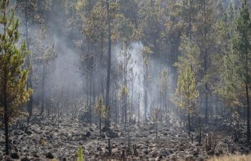 Academia de Ciencias realizará panel sobre el plan de rescate de Valle Nuevo