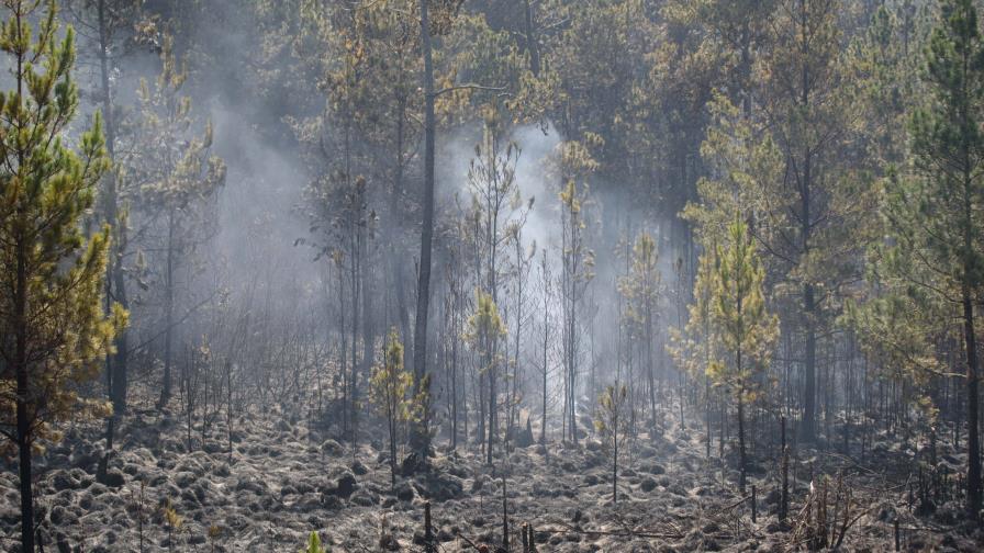 Academia de Ciencias realizará panel sobre el plan de rescate de Valle Nuevo