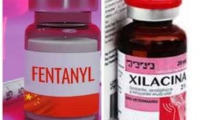 EEUU califica la mezcla de fentanilo con f&aacute;rmaco veterinario como amenaza emergente