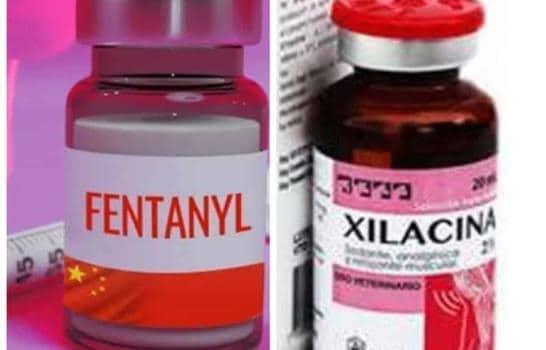 EEUU califica la mezcla de fentanilo con fármaco veterinario como amenaza emergente