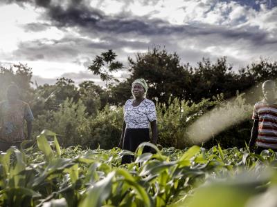 FAO: La inseguridad alimentaria aumenta en Latinoamérica