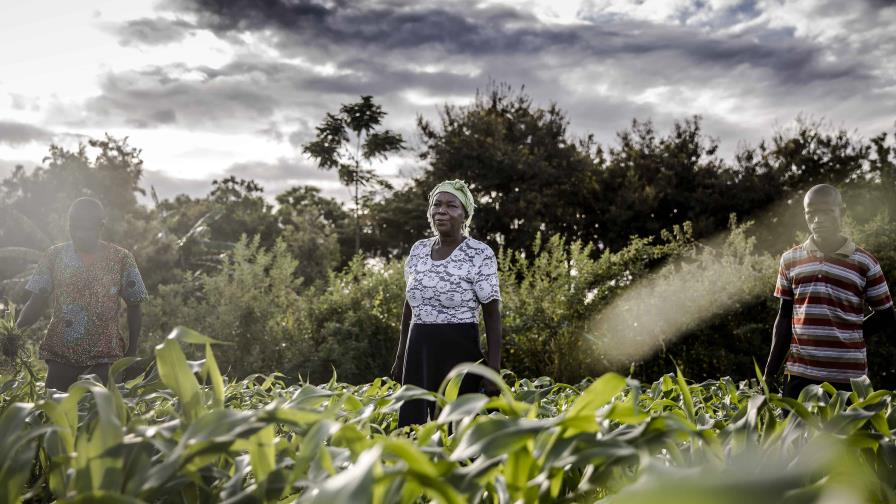 FAO: La brecha de género en la inseguridad alimentaria aumenta en Latinoamérica FAO: La brecha de género en la inseguridad alimentaria aumenta en Latinoamérica