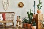 ¿Cómo decorar tu hogar con plantas?