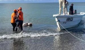Hallan cadáver atado a dos blocks con cadenas en río de San Pedro de Macorís