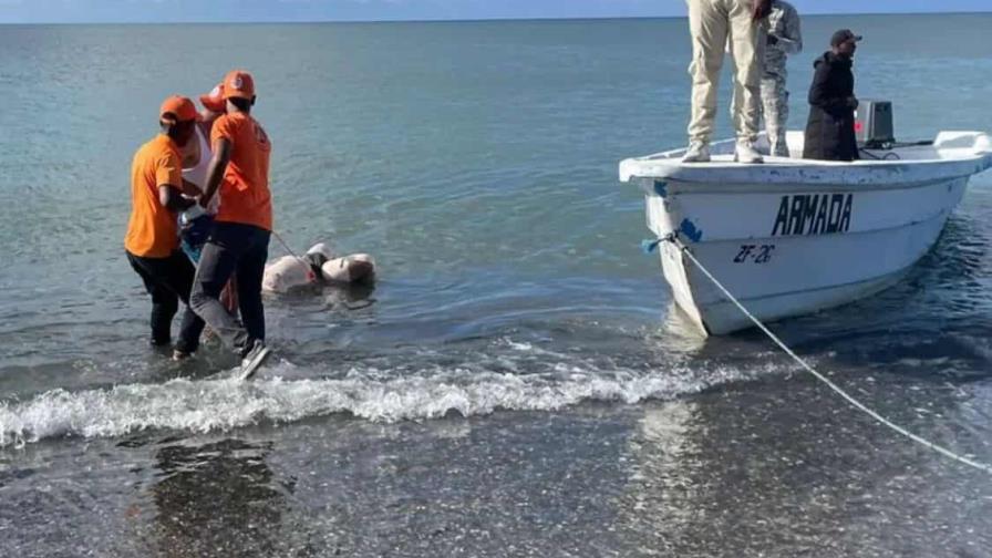Hallan cadáver atado a dos blocks con cadenas en río de San Pedro de Macorís Hallan cadáver atado a dos blocks con cadenas en río de San Pedro de Macorís