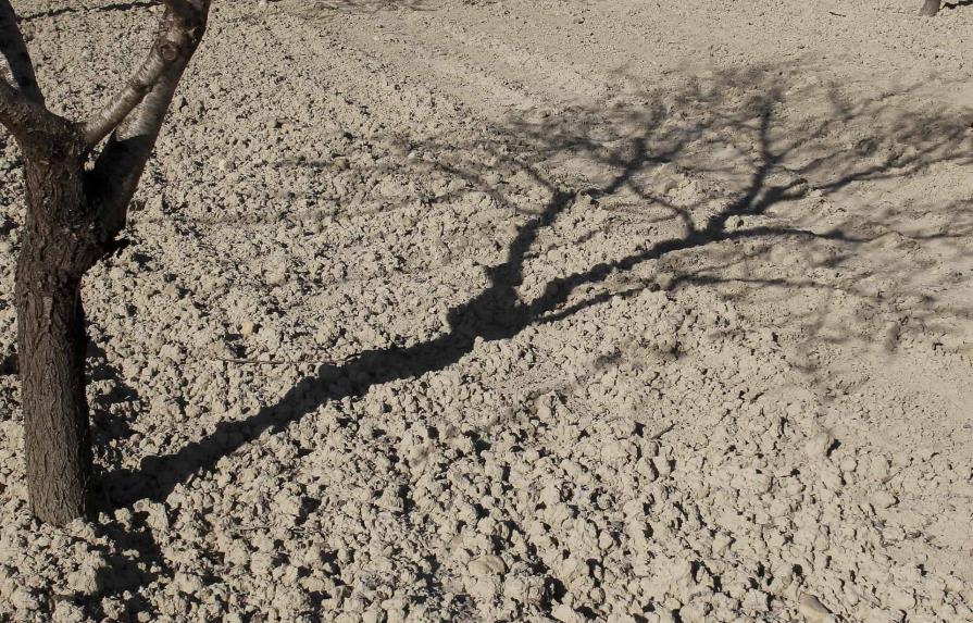 El Niño provocará sequías más severas y picos de calor