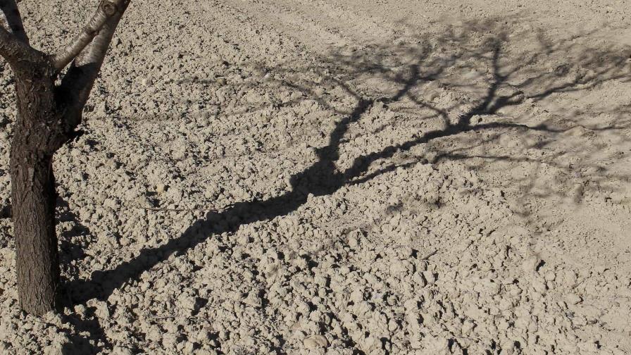 El Niño provocará sequías más severas y picos de calor