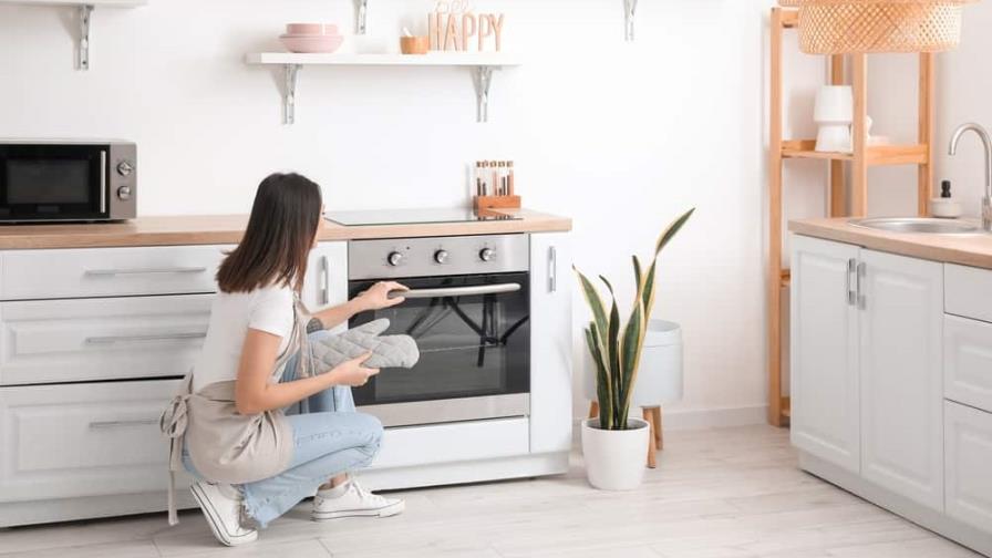 Horno a gas o eléctrico: ¿cuál es mejor?