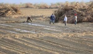 Retoman trabajos de proyecto La Cruz de Manzanillo