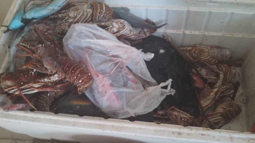Someten ante la justicia a comerciante acusado de vender especies en veda en Barahona Someten ante la justicia a comerciante acusado de vender especies en veda en Barahona