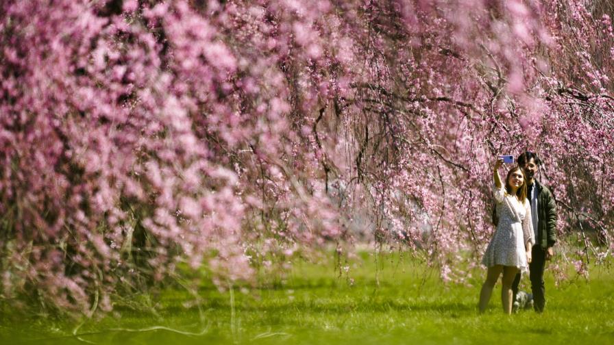 Algunos consejos para hablar de dinero en pareja