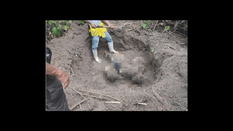 “Siento que algo va a pasar”: Los inquietantes mensajes que tres mujeres enviaron antes de ser asesinadas “Siento que algo va a pasar”: Los inquietantes mensajes que tres mujeres enviaron antes de ser asesinadas