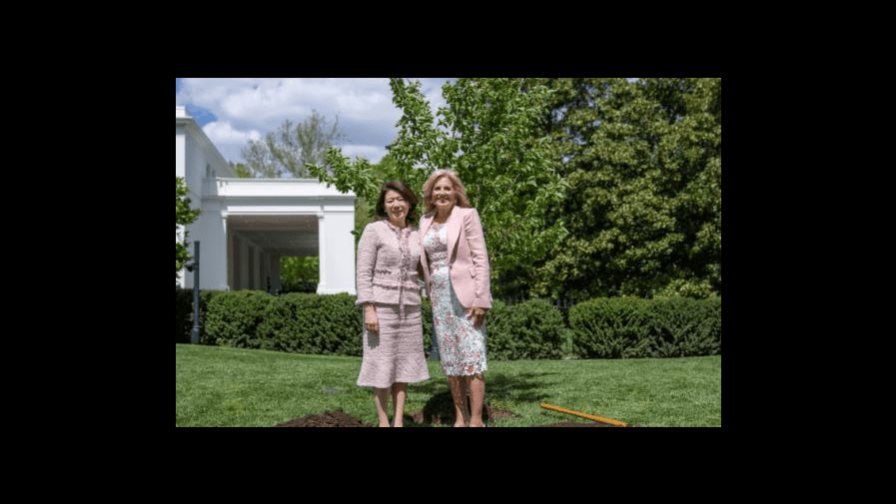 La primera dama de Japón visita la Casa Blanca y planta un cerezo junto a Jill Biden